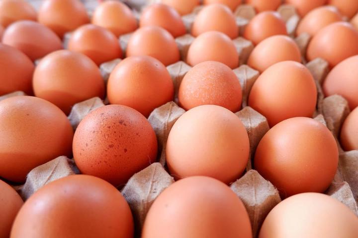 Des œufs frais à des prix attractifs