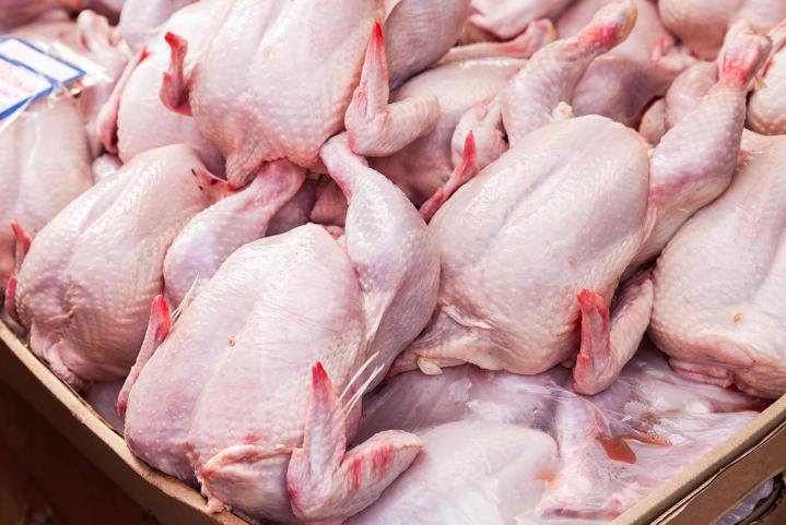 Des volailles élevées et nourries dans les meilleurs conditions